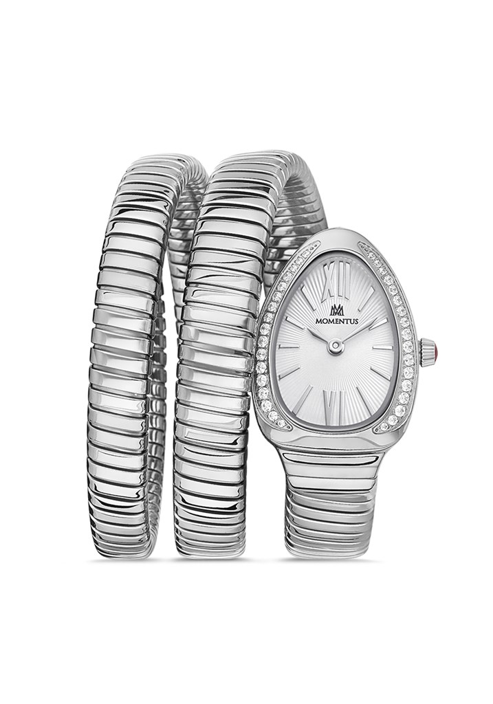 MOMENTUS SS256S-02SS